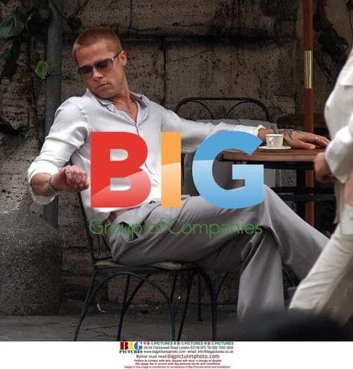 Brad Pitt Arrested on 'Ocean Twelve' Set