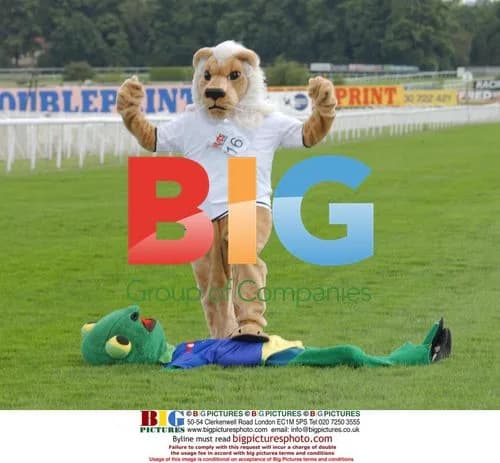 Mascot Race at Euro Championship