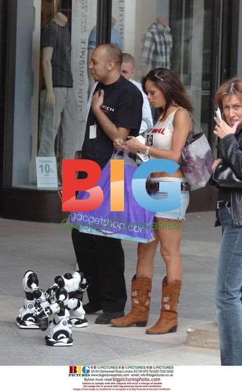 Glamour models shop with Robosapien