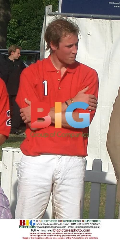 Prince William at Audi Polo event