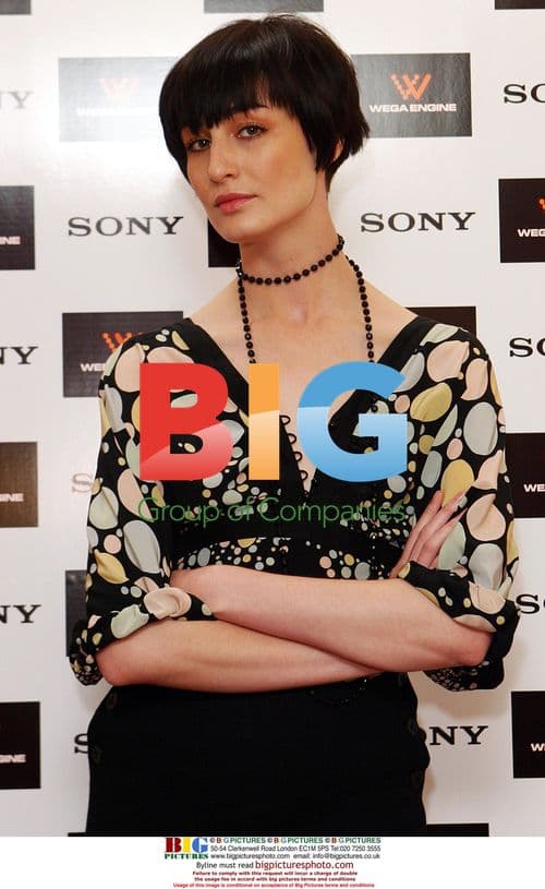 Erin O'Connor Launches Sony Wega TVs