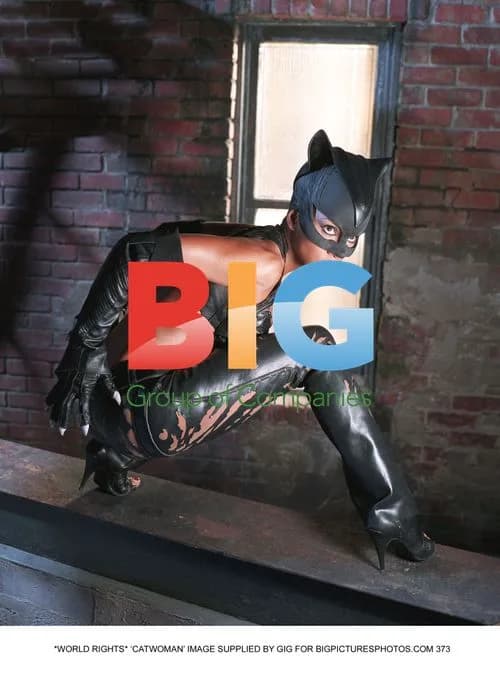 Halle Berry as Catwoman