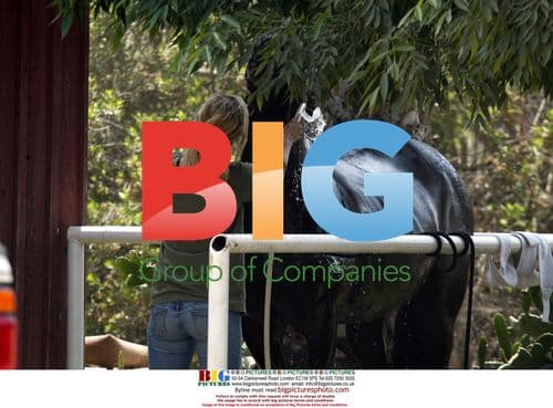 Model Rachel Hunter Rides Horse with Sister