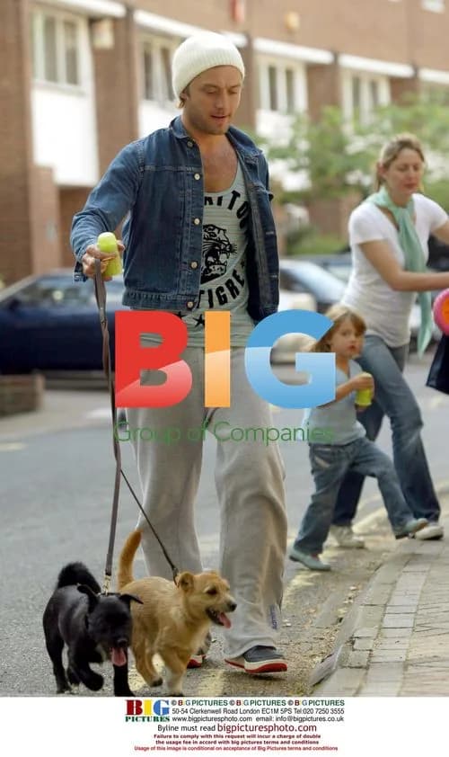 Jude Law Walks Children and Dogs