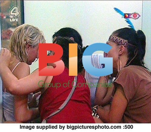 Big Brother Housemates Fight