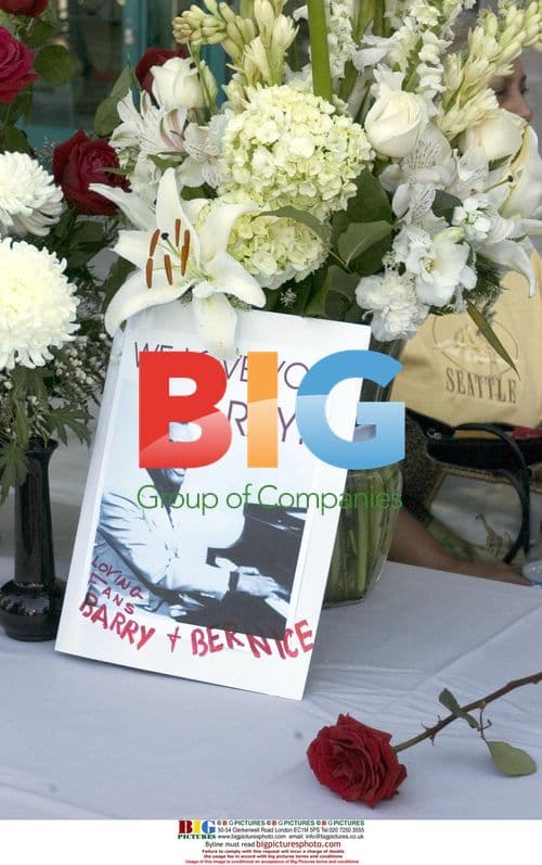 Serena Williams at Ray Charles Memorial