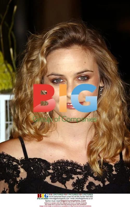 Alicia Silverstone at 2004 Crystal & Lucy Awards