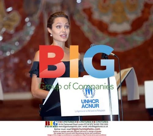 Angelina Jolie at International Refugee Day
