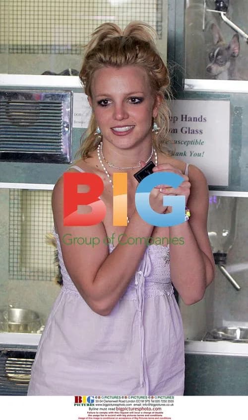 Britney Spears Photog Foot Run Over