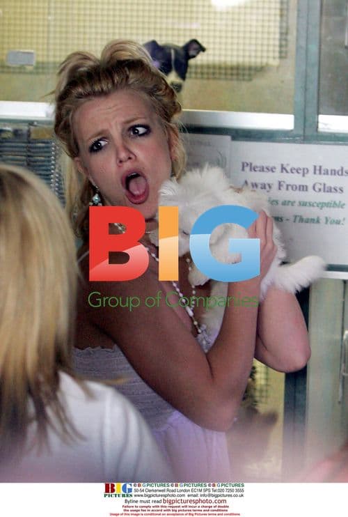 Britney Spears' Petstore Trip Ends in Accident