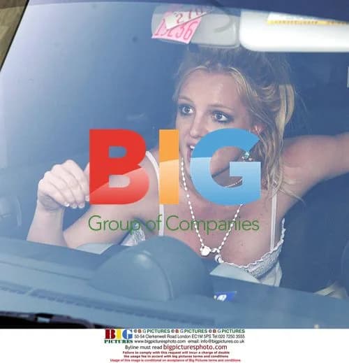 Britney Spears at Pet Store