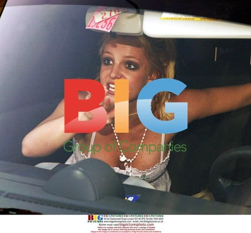 Britney Spears Puppy Incident