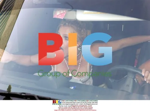 Britney Spears' Petstore Trip Ends in Accident