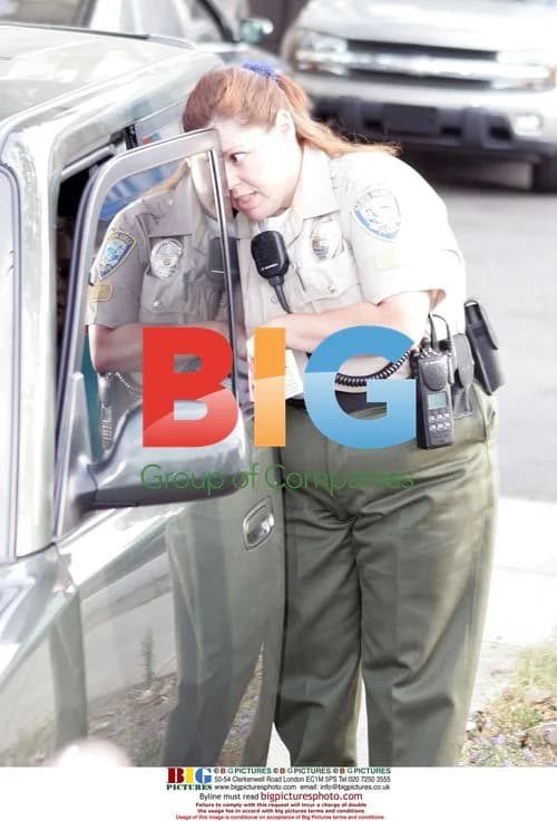 Britney Spears' Puppy Pickup Ends in Paparazzi Accident