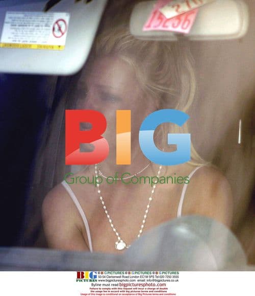 Britney Spears Petstore Incident