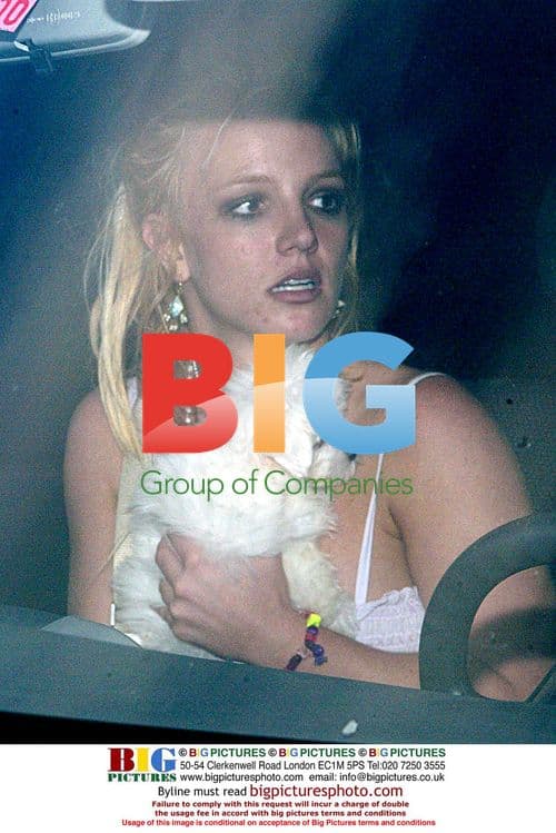 Britney Spears Emotional at Pet Store