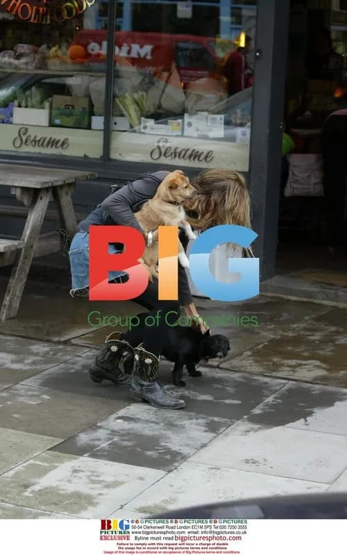 Jude Law and Sienna Miller Out with Puppies