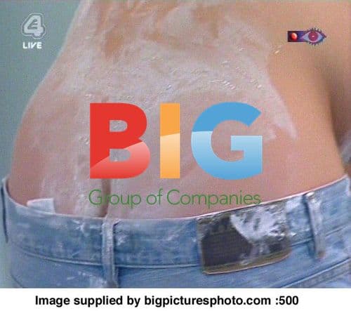 Big Brother 5 Plaster Casting Task