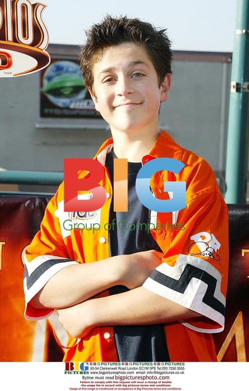 David Henrie at 'Revenge of the Mummy' Premiere