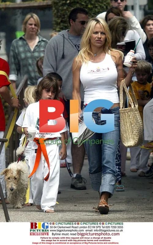 Pamela Anderson Picking Up Sons from Karate Lessons in Malibu