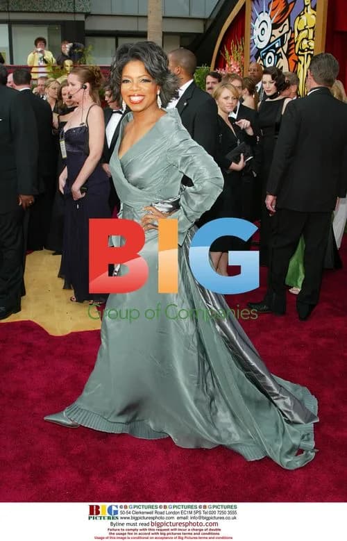 Oprah Winfrey at 2004 Academy Awards