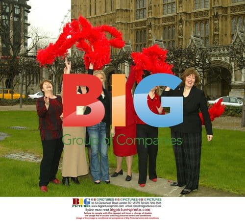 Actresses at Vagina Monologues Charity Event