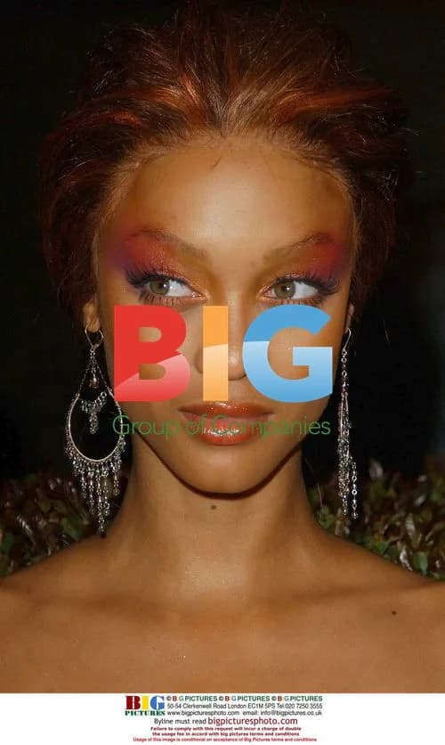 Tyra Banks at 35th NAACP Image Awards