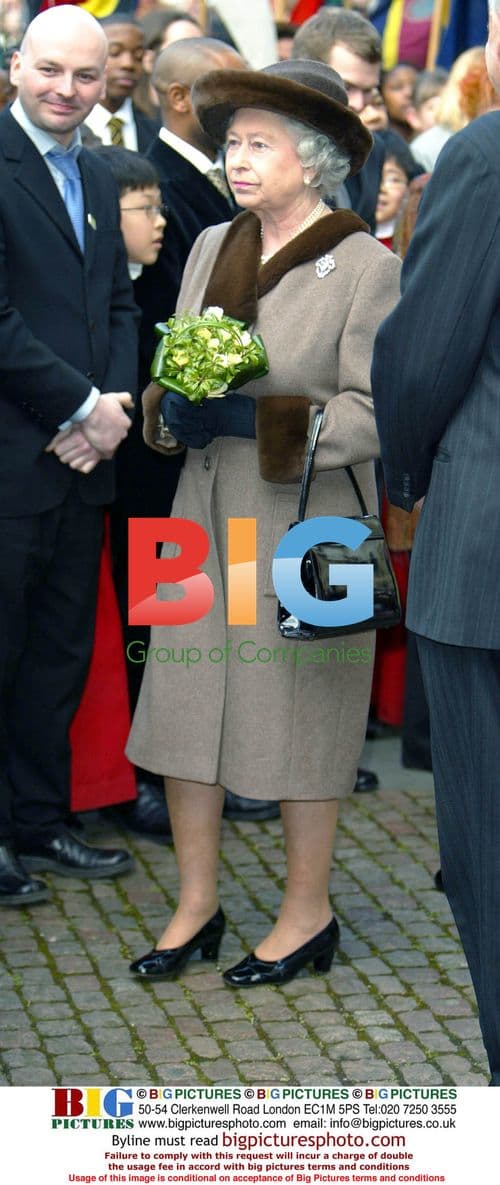 Oprah Winfrey at Toronto Film Festival