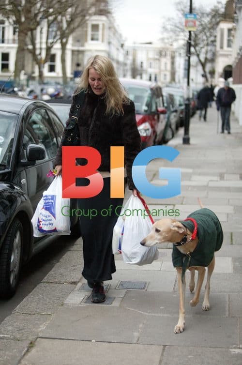 Emma Parker Bowles Grocery Run