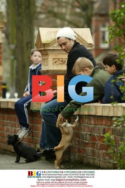 Jude Law walks Sienna Miller\'s dogs in London