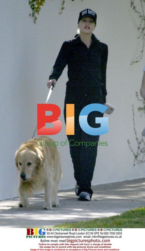 Gwen Stefani Walking Dog in Hollywood