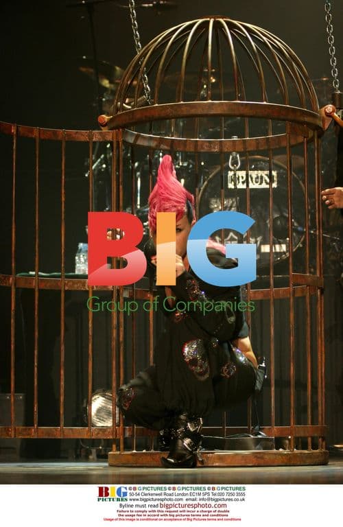 Actress at Film Festival