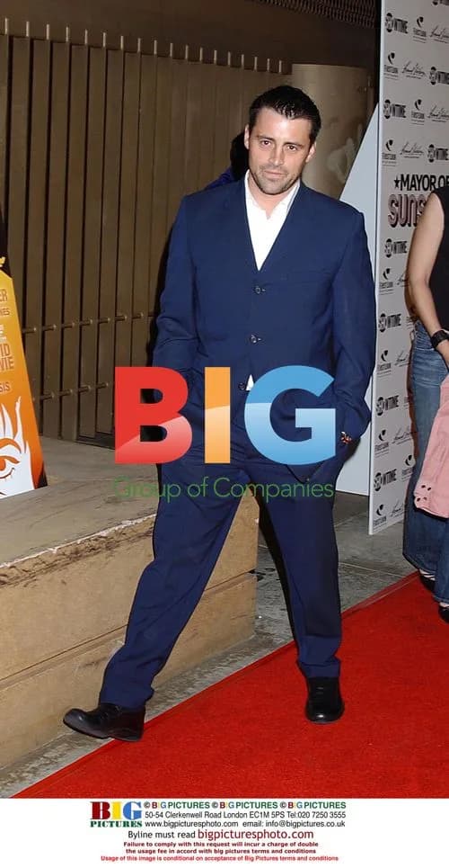 Matt LeBlanc at 'Mayor of the Sunset Strip' Premiere
