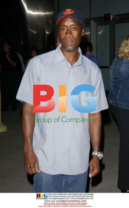 Don Cheadle at 'The United States Of Leland' Premiere