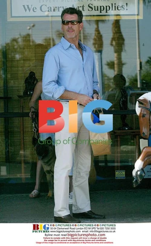Pierce Brosnan takes son Paris to park and store in Malibu