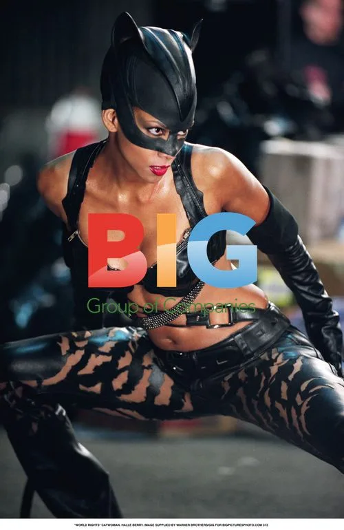 Halle Berry as Catwoman