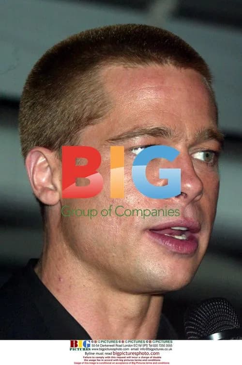 Brad Pitt at 'Troy' Premiere