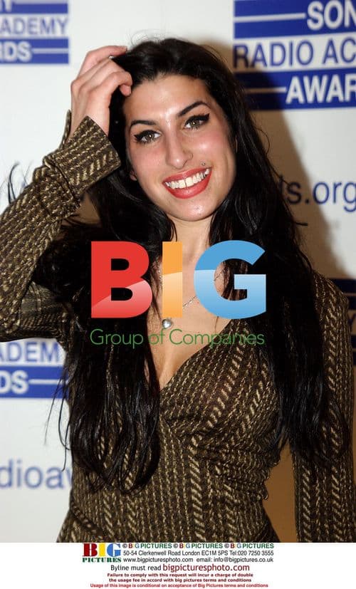 Amy Winehouse at Sony Radio Academy Awards