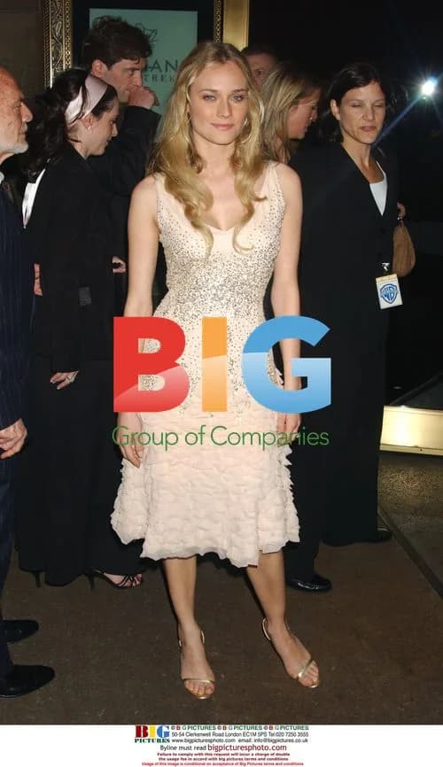 Diane Kruger at 'Troy' Premiere After-Party