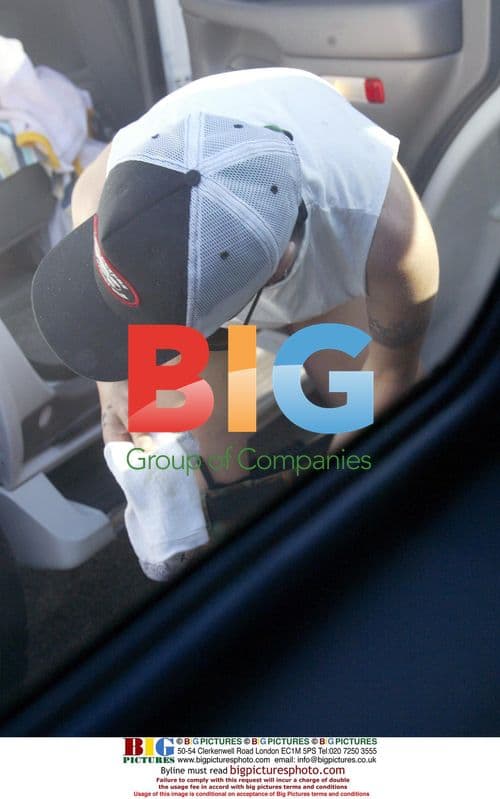 Pink Playing with Dogs on Huntington Beach