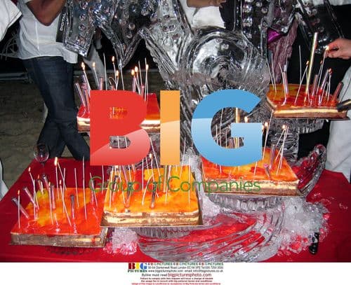 Naomi Campbell's Birthday Party