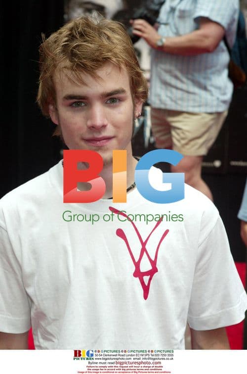 David Gallagher at 'Harry Potter' Premiere