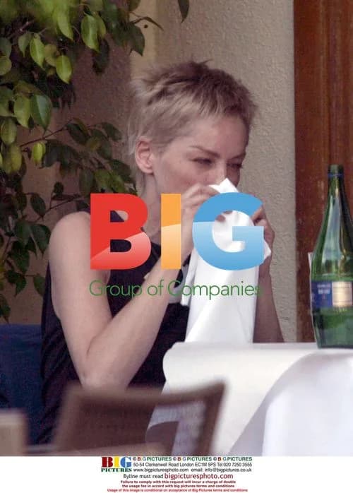 Sharon Stone lunching with friend in California