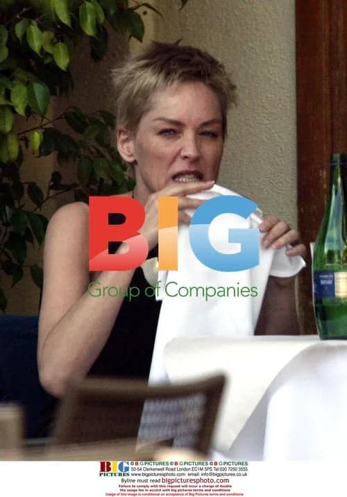 Sharon Stone Lunching with Friend