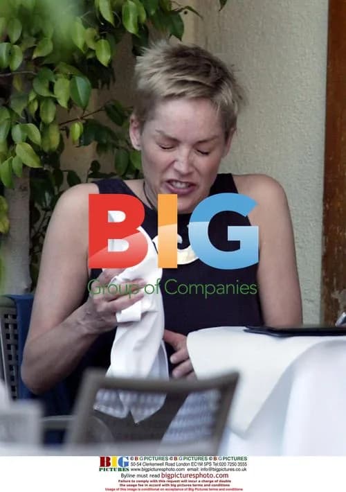Sharon Stone Lunching with Friend