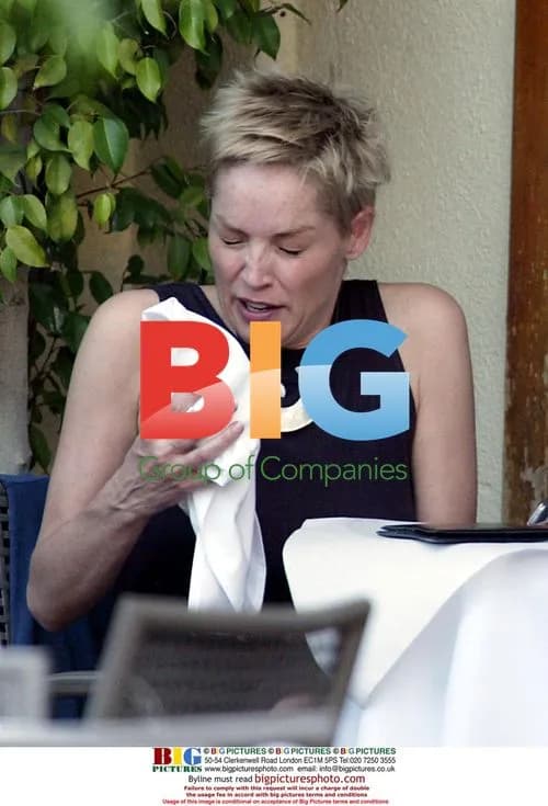 Sharon Stone Lunching with Friend
