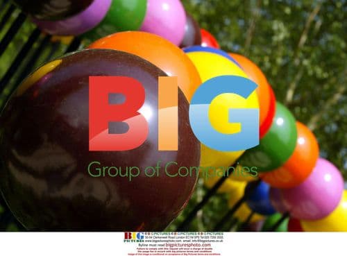 Diarmuid Gavin at Chelsea Flower Show