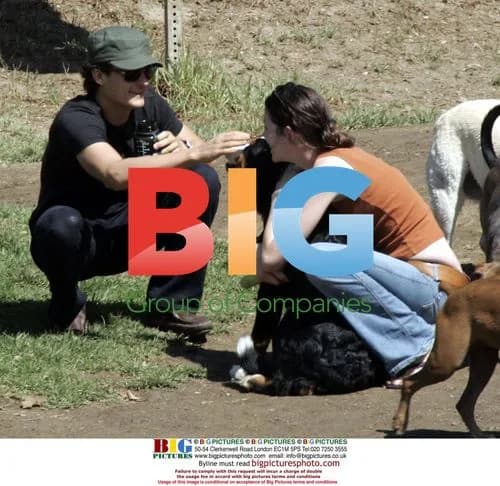 Orlando Bloom Walking Dogs in Hollywood