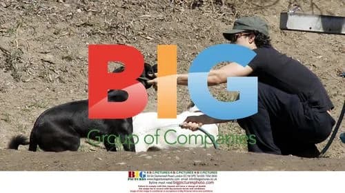 Orlando Bloom Walking Dogs in Hollywood