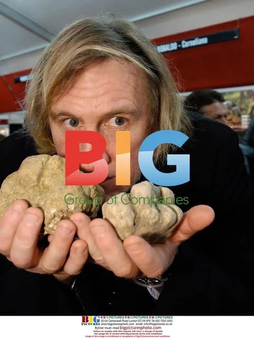 Gerard Depardieu at Truffle Fair in Alba, Italy